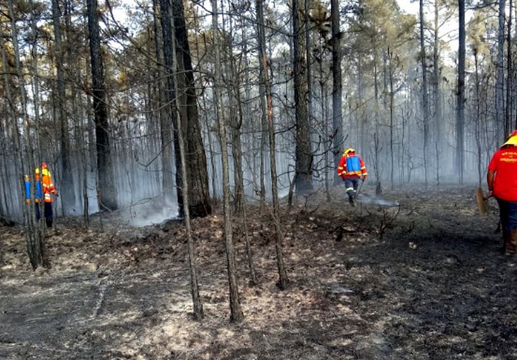 Bombeiros e voluntários tentam apagar as chamas na região de São João da Boa Vista